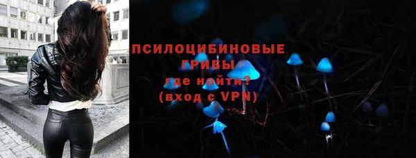 ешки Арсеньев