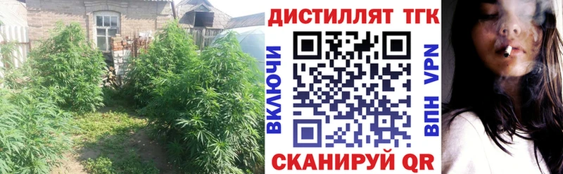 Дистиллят ТГК гашишное масло  продажа наркотиков  Сорочинск 