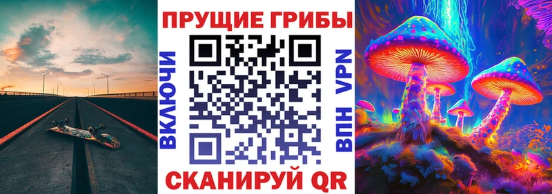где купить наркоту  Сорочинск  Галлюциногенные грибы Cubensis 